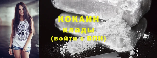 мяу мяу мука Белокуриха
