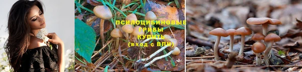 кокаин премиум Беломорск