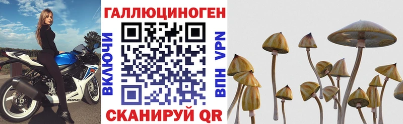 Псилоцибиновые грибы Cubensis  дарнет шоп  Билибино 